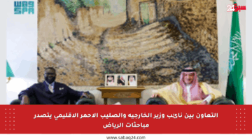 التعاون بين نائب وزير الخارجية والصليب الأحمر الإقليمي يتصدر مباحثات الرياض